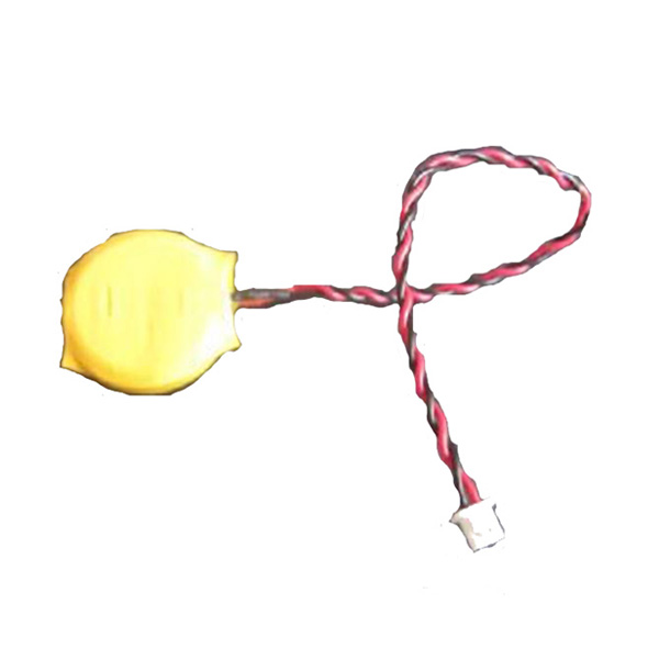 CR2032 with wires leads and terminal connector